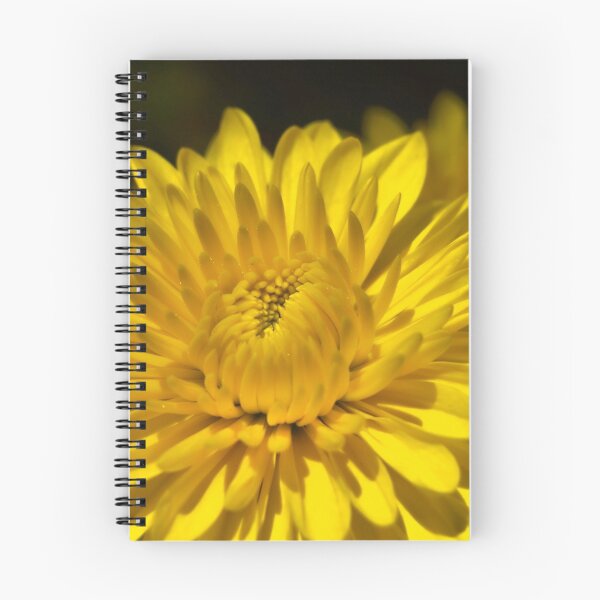 Item preview, Clarity  designed and sold by Saija  Lehtonen.