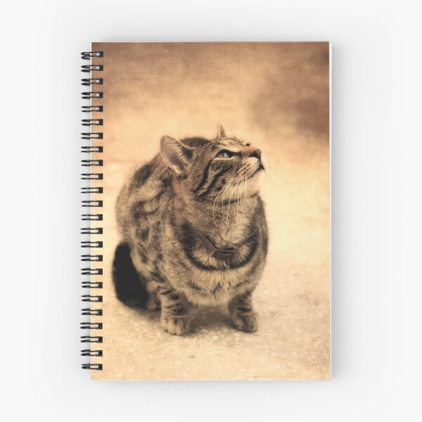 Item preview, Kitty Portrait (Sepia) designed and sold by Dragos Dumitrascu.