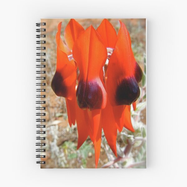 Item preview, Beauty in the Desert. designed and sold by Gabrielle  Hope.