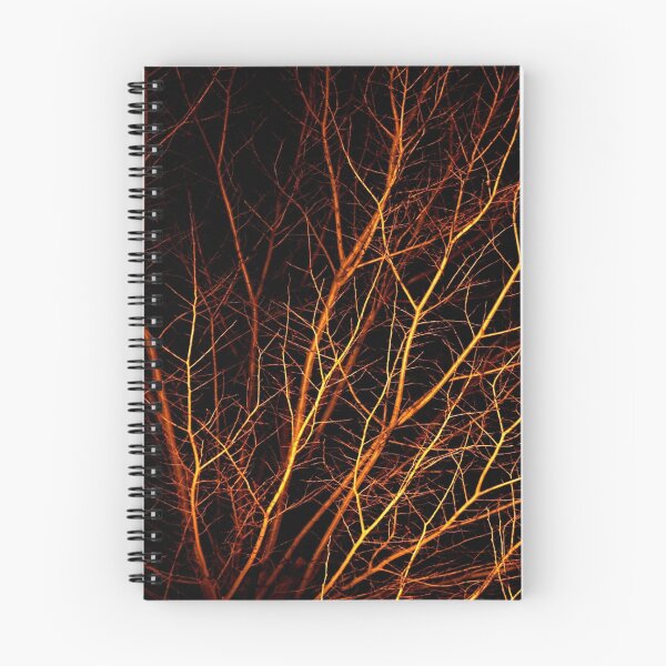 Item preview, Forest For The Trees designed and sold by Natalie Ord.