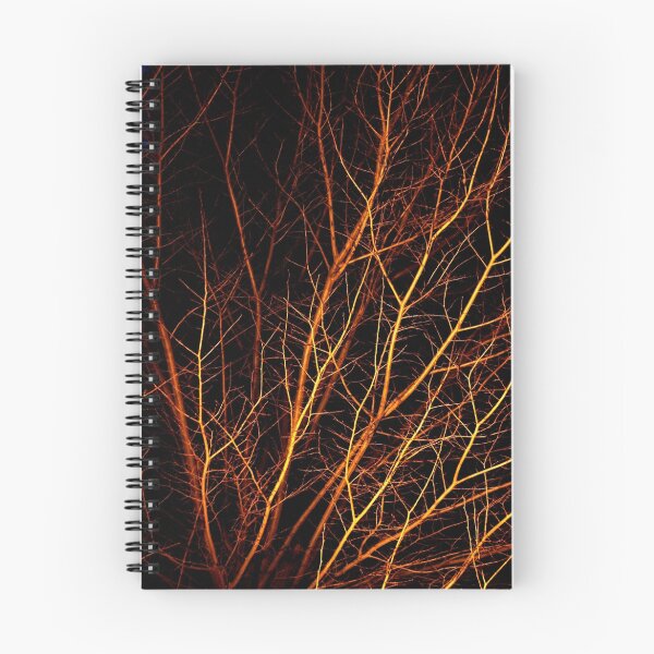 Artikelvorschau, Forest For The Trees entworfen und verkauft von Natalie Ord.