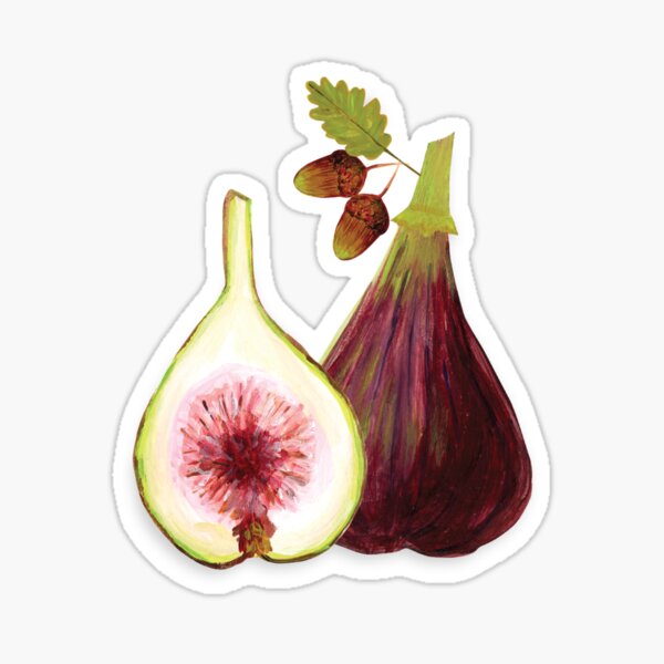 Figs Sticker