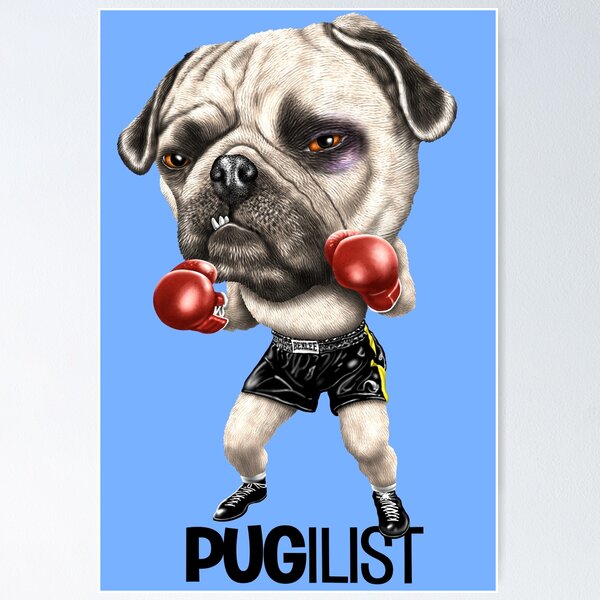 Cool Standing Pug Dog Boxer Punching With Red Leather Boxing