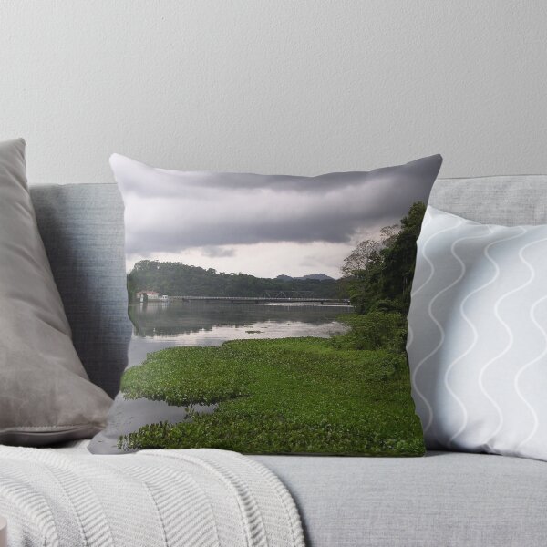 Item preview, an incredible Panama landscape designed and sold by beautifulscenes.
