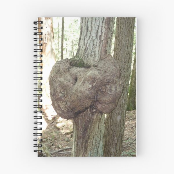 Artikelvorschau, Formal Tree entworfen und verkauft von Amanda Yetman.