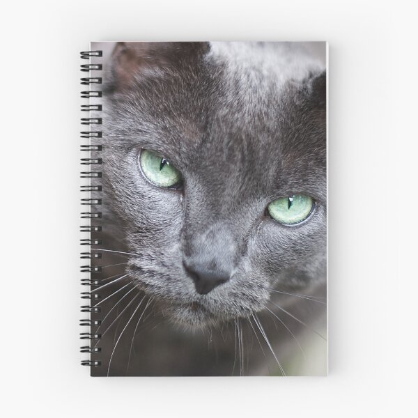 Item preview, FAT CAT designed and sold by James L. Brown.