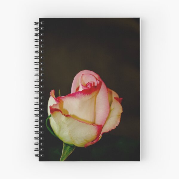 Item preview, Rose designed and sold by Marcus Buckley.