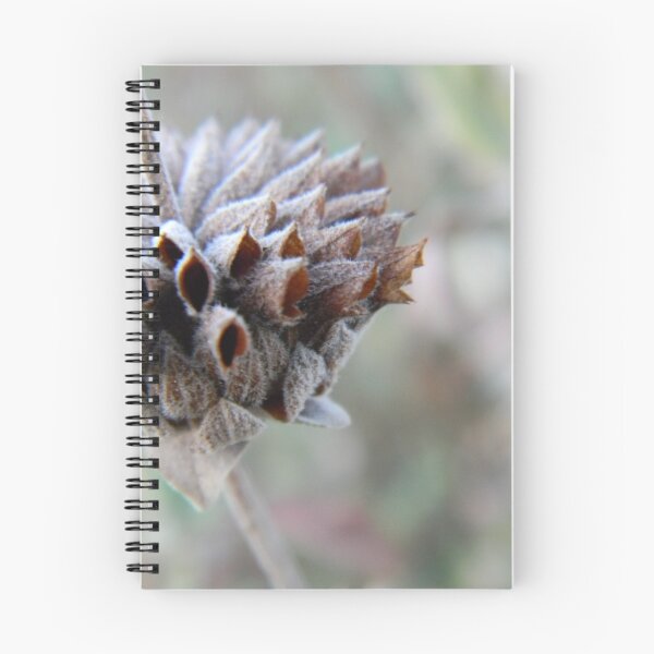 Item preview, Desert Sage Gone to Pod designed and sold by Leyla Hur.