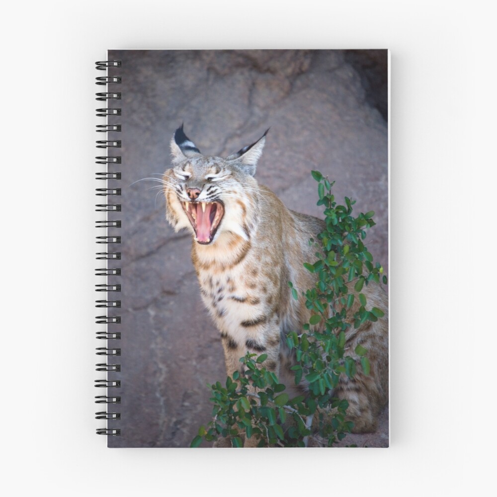 Item preview, Spiral Notebook designed and sold by Rando.