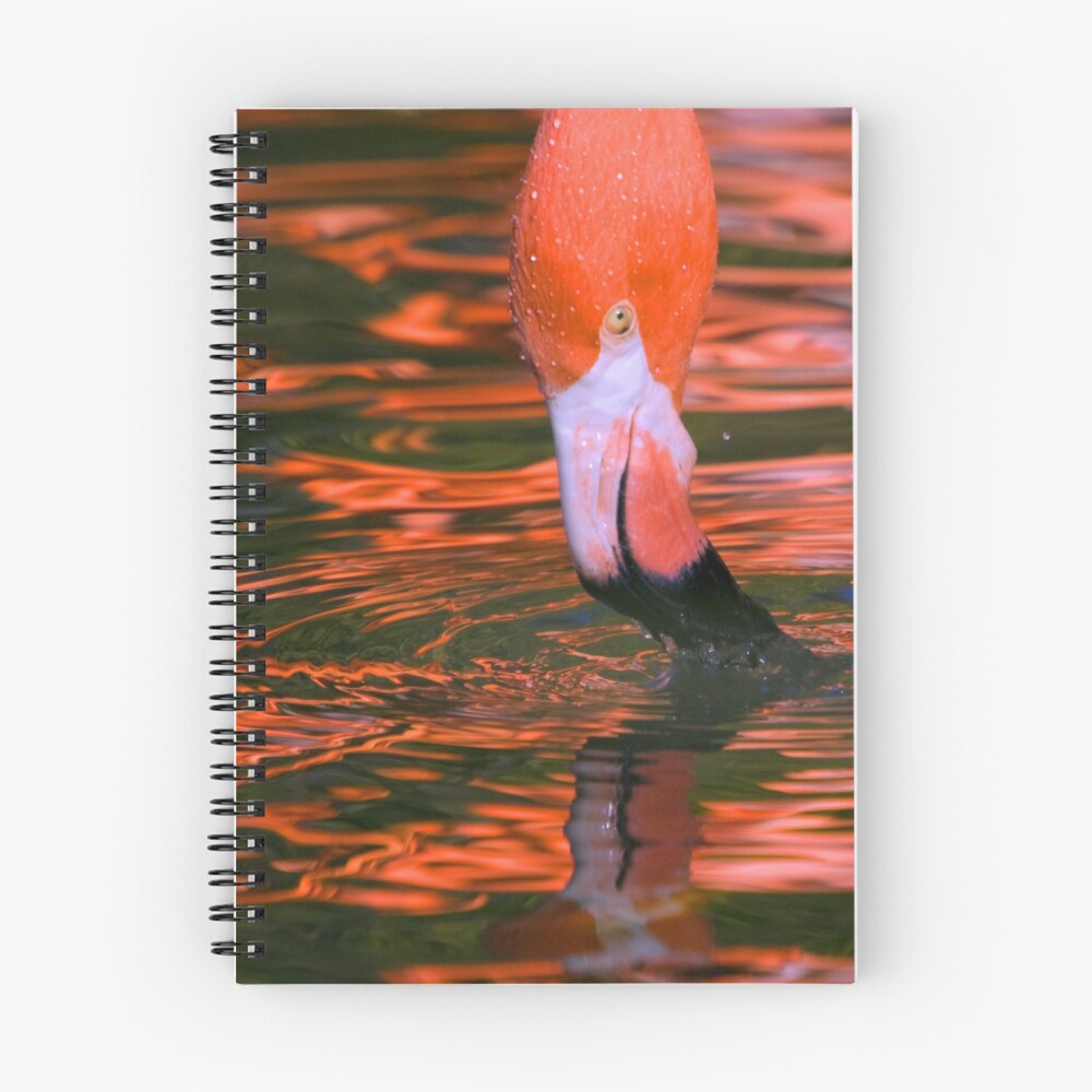 Item preview, Spiral Notebook designed and sold by Rando.