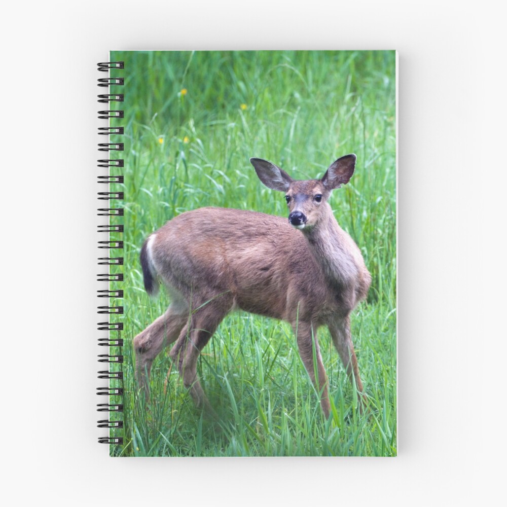 Item preview, Spiral Notebook designed and sold by Rando.