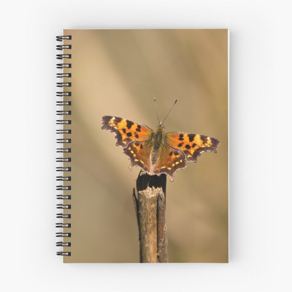 Item preview, Spiral Notebook designed and sold by Rando.