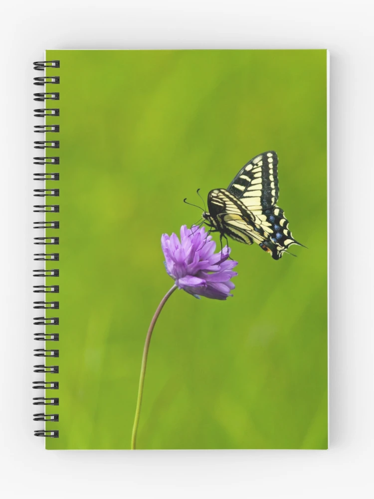 Thumbnail 1 of 3, Journal, Tiger Swallowtail designed and sold by Randall Ingalls.
