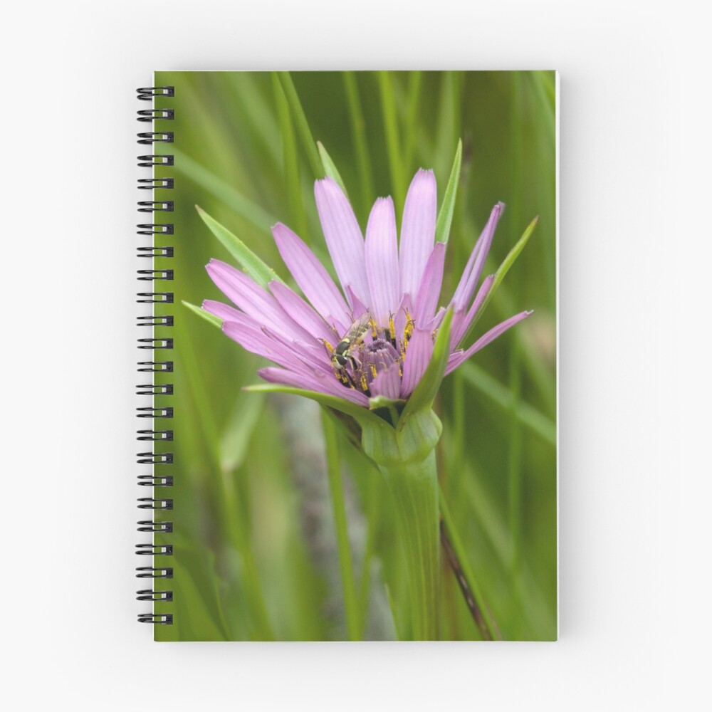 Vista previa del artículo con la obra «Cuaderno de espiral», diseñado y vendido por Rando.