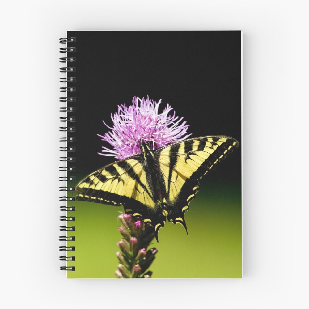 Item preview, Spiral Notebook designed and sold by Rando.