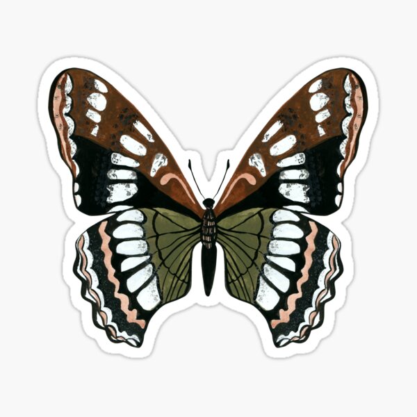 Butterfly Sticker