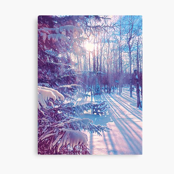 Winter Glow Canvas Print