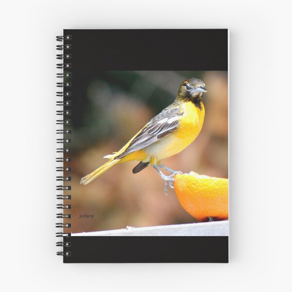 Item preview, I AM smiling!  designed and sold by Rosemary Sobiera.