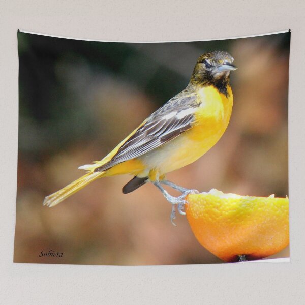 Item preview, I AM smiling!  designed and sold by Rosemary Sobiera.