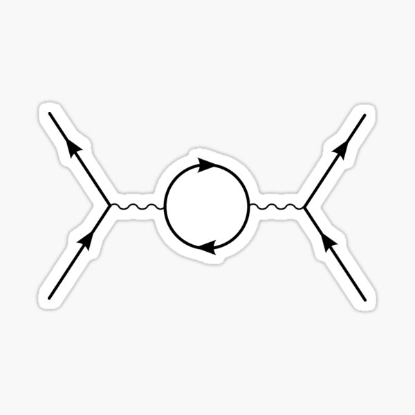 Second Order Feynman Diagram- Particle Physics Sticker