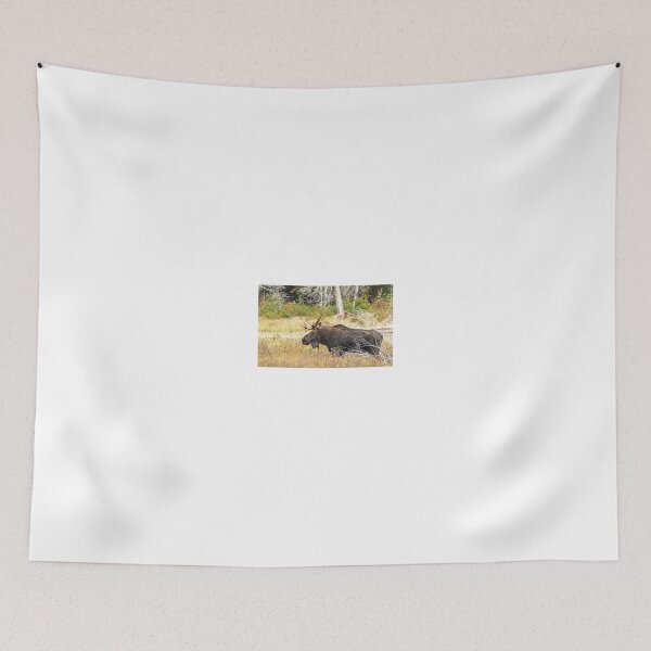 Item preview, Big Bull Moose, Algonquin Park designed and sold by James Cumming.