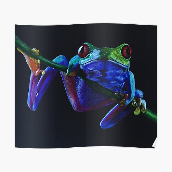 "Rainforest Tree Frog Colored Pencil Drawing" Poster by MaiaJak | Redbubble