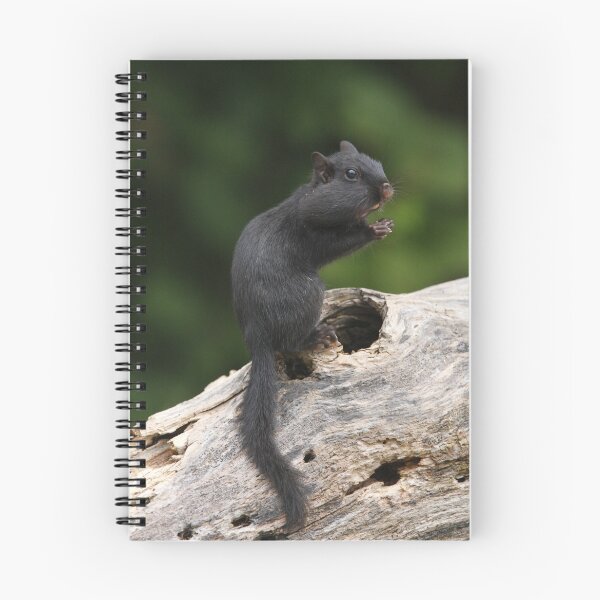 Item preview, Believe It Or Not designed and sold by DigitallyStill.