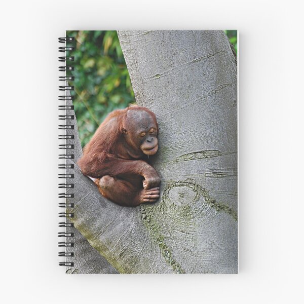 Item preview, friend of the earth...a little TreeHugger designed and sold by Declan Carr.
