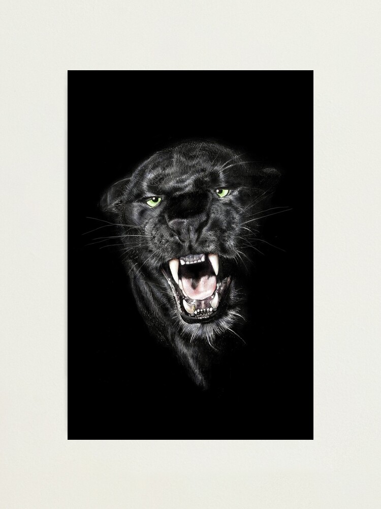 Black Panther Poster Photo Wall Art Home Decor Prints 16x24, 20x30