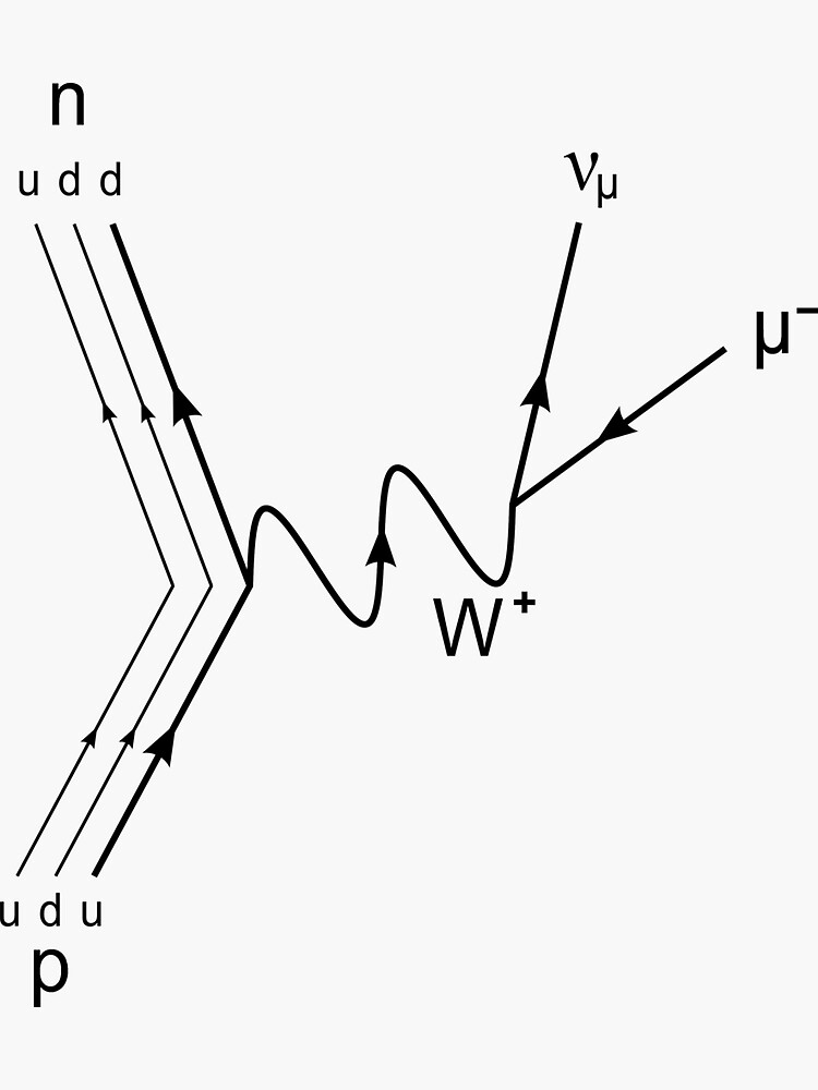 Muon Decay Feynman Diagram- Particle Physics by the-elements