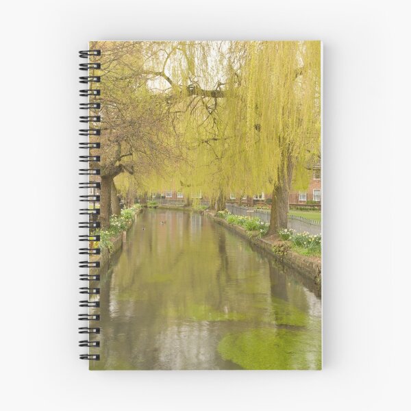 Item preview, Abbey Gardens, Winchester designed and sold by John Honeyman.