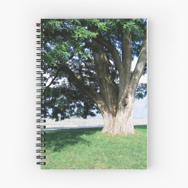 Aperçu de l'œuvre Summers Covering créée et vendue par J.K. Sanchez.