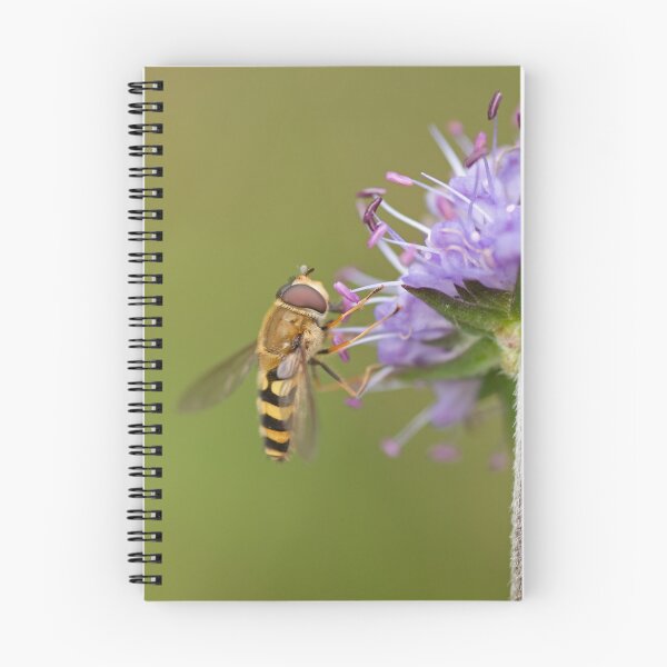 Item preview, Syrphus ribesii Hoverfly designed and sold by Jon Lees.
