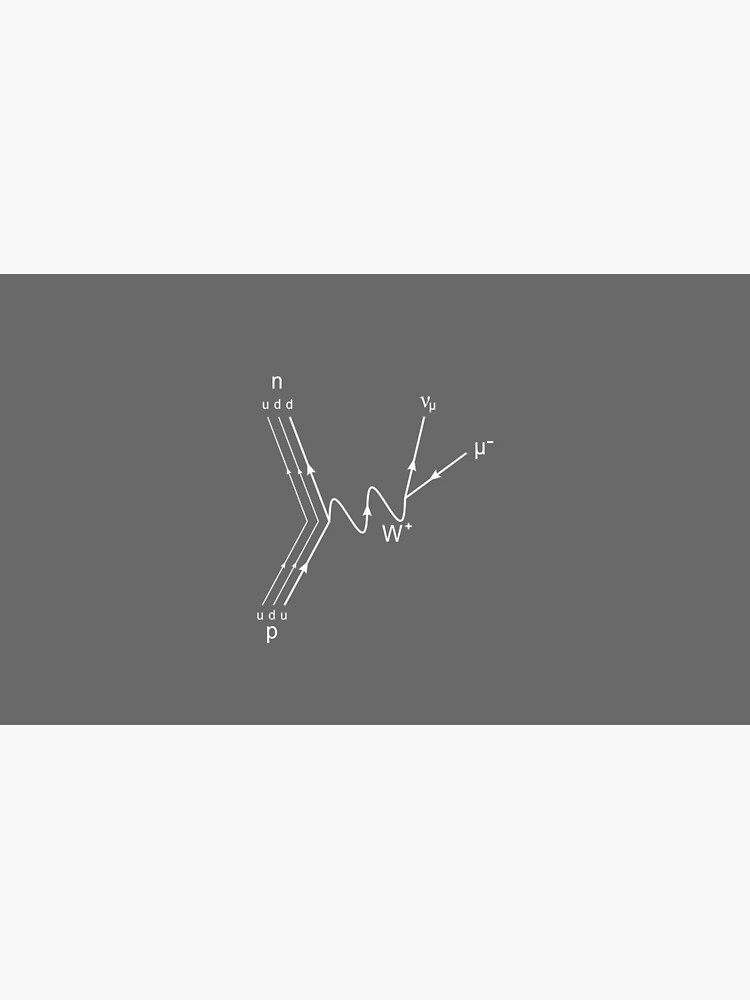 Muon Decay Feynman Diagram- Particle Physics by the-elements