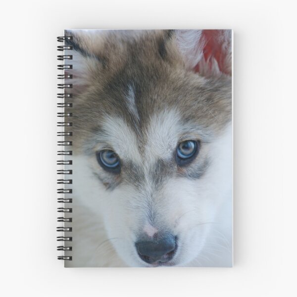 Item preview, Balto designed and sold by Extraordinary Light.