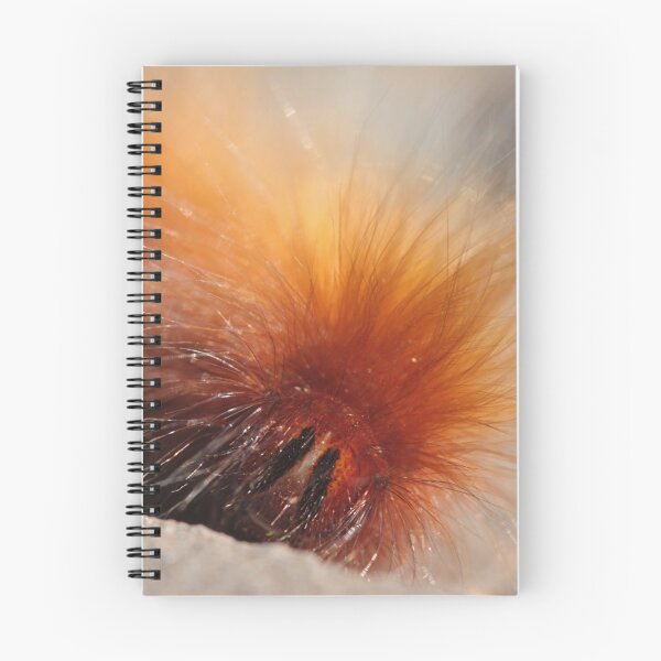 Item preview, Bad hair day ! designed and sold by Etwin.