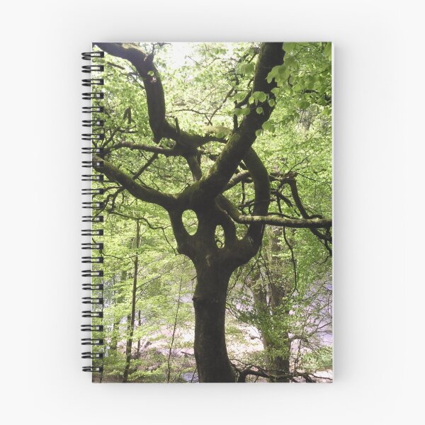 Item preview, Odd Tree - Dunkeld, Perthsire designed and sold by Belnahua.