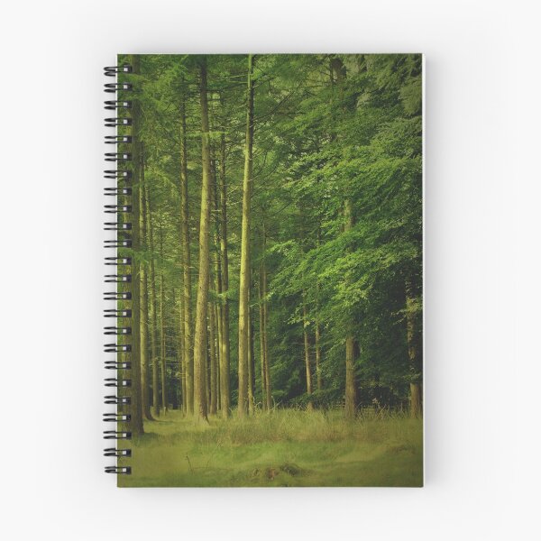 Item preview, Enchanting Clearing ~ Forest Of Bowland ~ designed and sold by Sandra Cockayne.