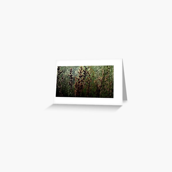 rain glow Greeting Card
