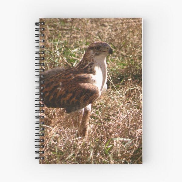 Item preview, Ferruginous Hawk designed and sold by starbucksgirl26.