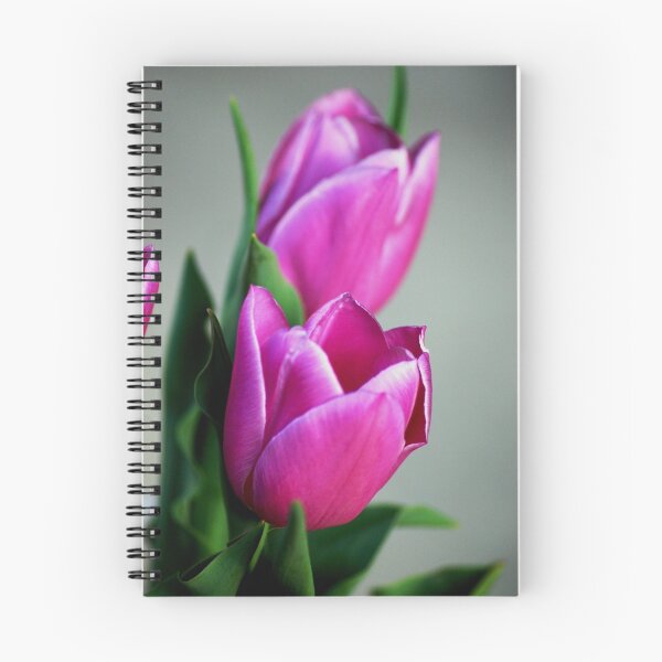 Item preview, Purple tulips designed and sold by loiteke.
