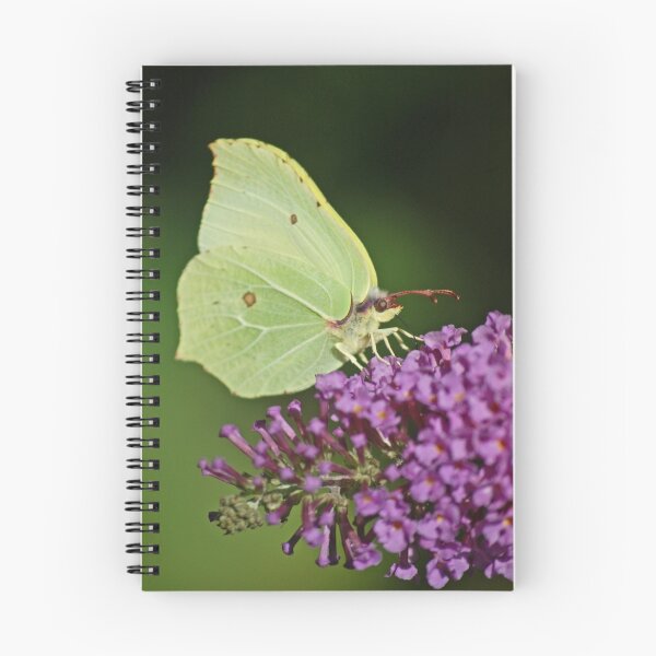 Artikelvorschau, Cabbage White entworfen und verkauft von jaffa.