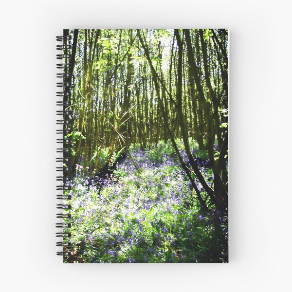 Item preview, Bluebell wood at Powder Mill. designed and sold by Visuddhi.
