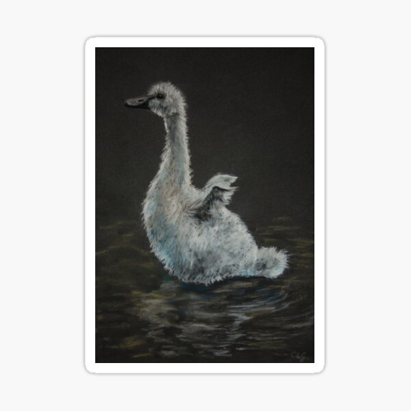 Cygnet Sticker