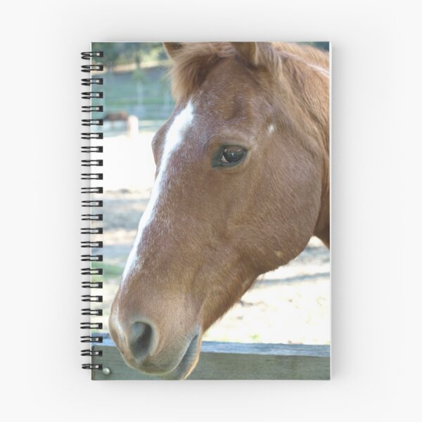 Item preview, CABALLO designed and sold by AussieColin.