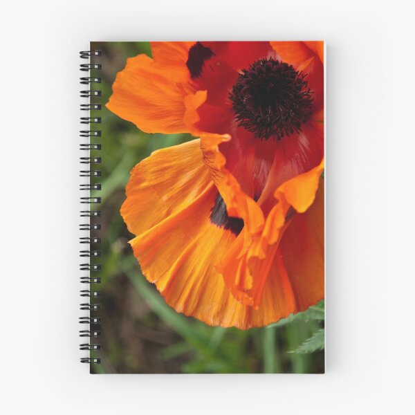 Item preview, Poppy designed and sold by Aler.