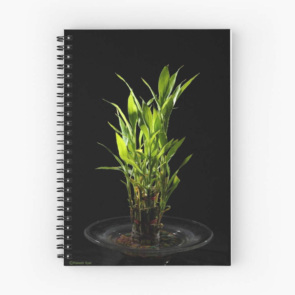 Item preview, Spiral Notebook designed and sold by RakeshSyal.