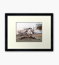 Self-defence Framed Print