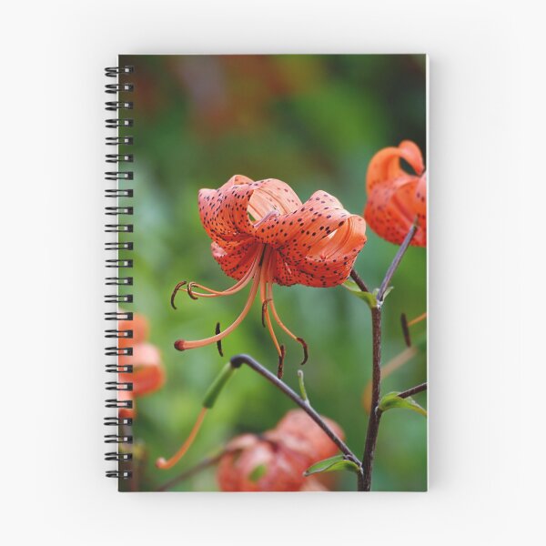 Item preview, Tiger Lily designed and sold by Declan Carr.
