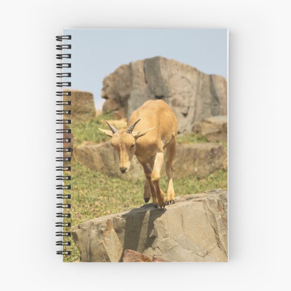 Item preview, Fawn designed and sold by vasu.